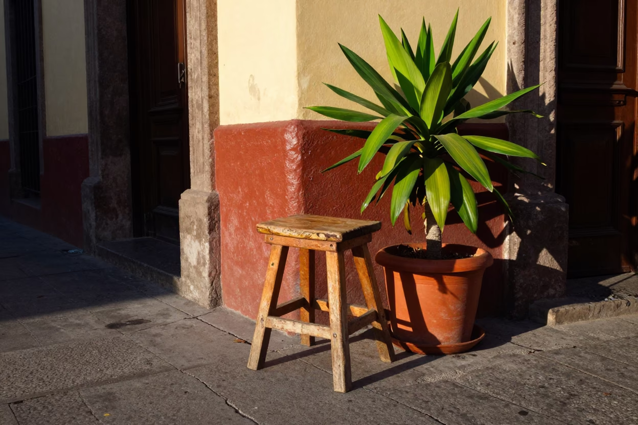 Street Corner in Mexico City at Clear Late-afternoon Light in in Mexico City, Mexico