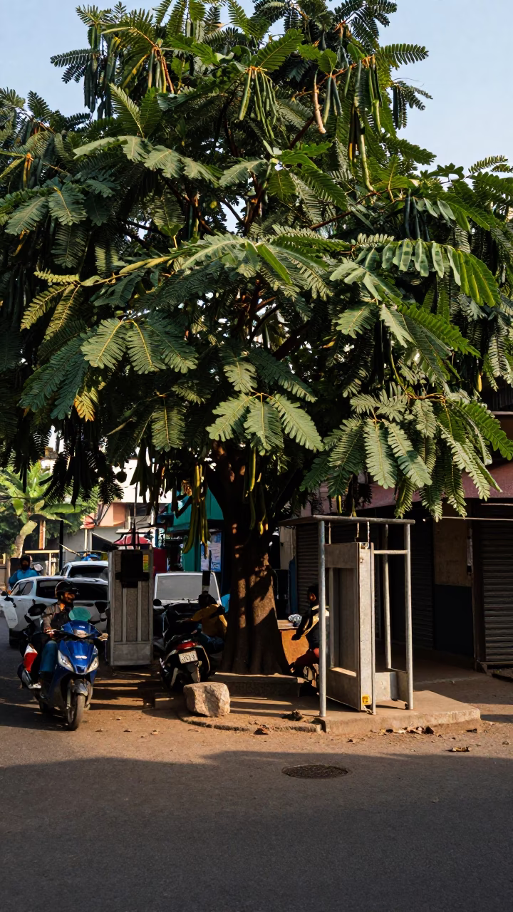 Street Corner in Mumbai at The Early Afternoon Light in in Mumbai, India