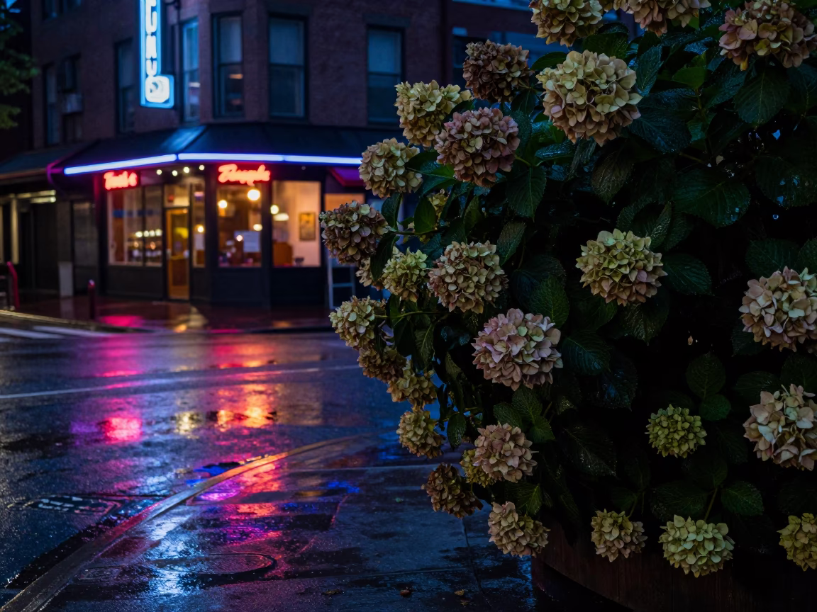 Street Corner in Portland at Deep In The Night Light in in Portland, Oregon, United States