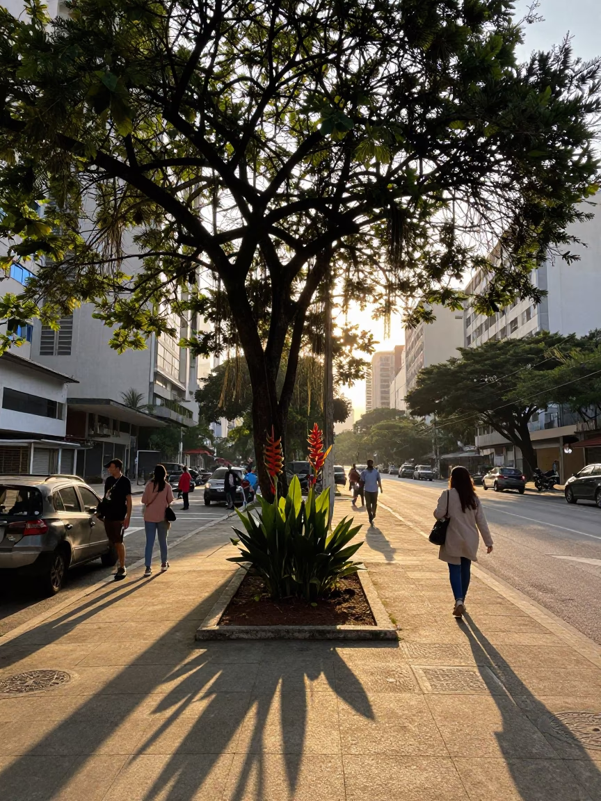 Street Corner in São Paulo at Nautical Dawn Light in in São Paulo, Brazil