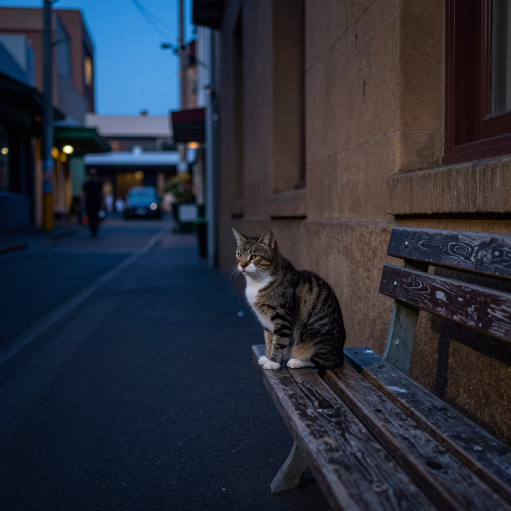 Street Corner in Sydney at Blue Hour in in Sydney, New South Wales, Australia