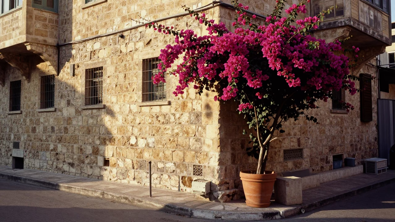 Street Corner just after sunrise in Beirut in in Beirut, Lebanon