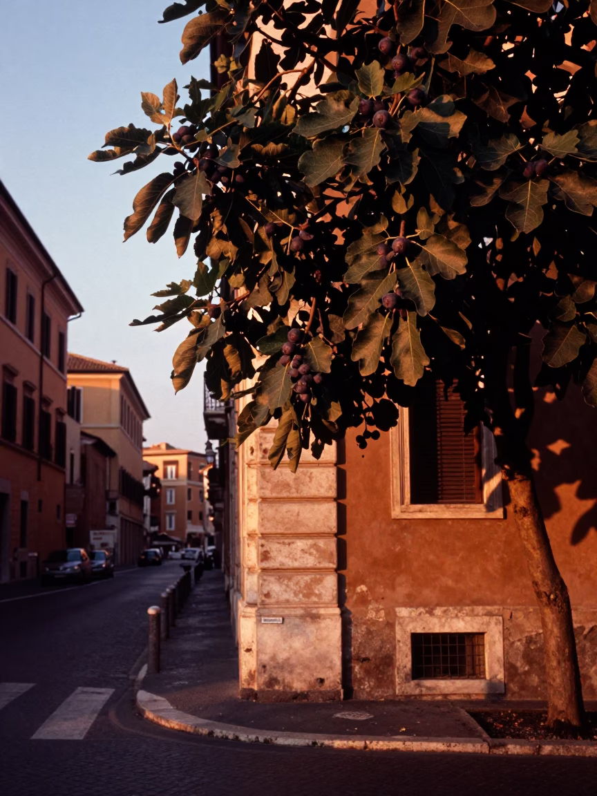 Street Life in Rome at Copper-toned Light Before Dusk in in Rome, Italy