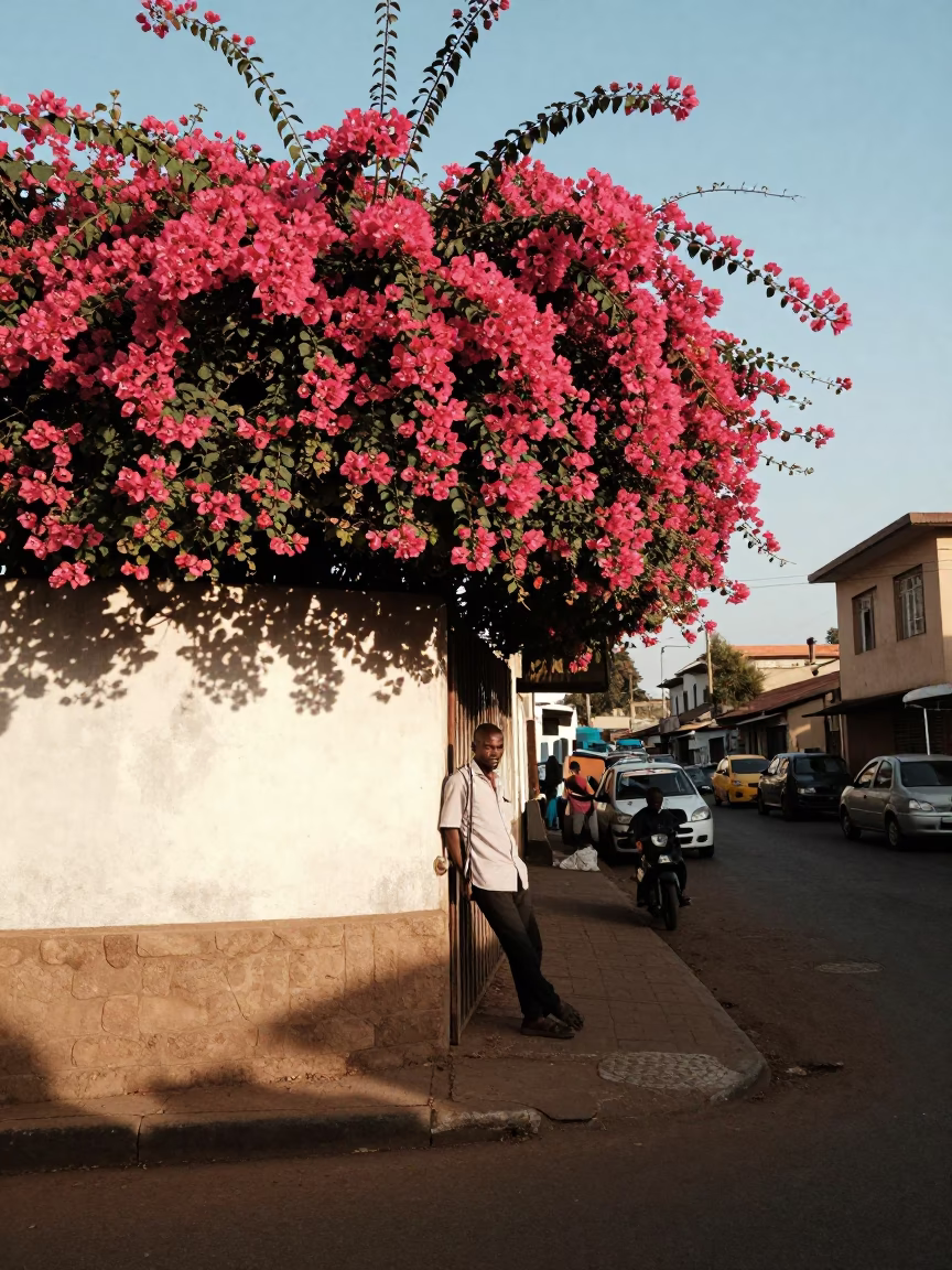 Street Scene at Clear Late-afternoon Light in Nairobi in in Nairobi, Kenya