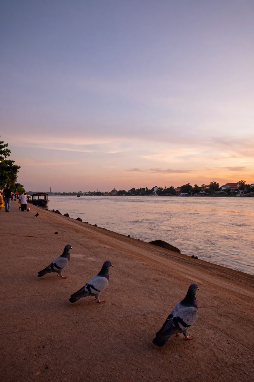 Street Scene at Copper-toned Light Before Dusk in Phnom Penh in in Phnom Penh, Cambodia
