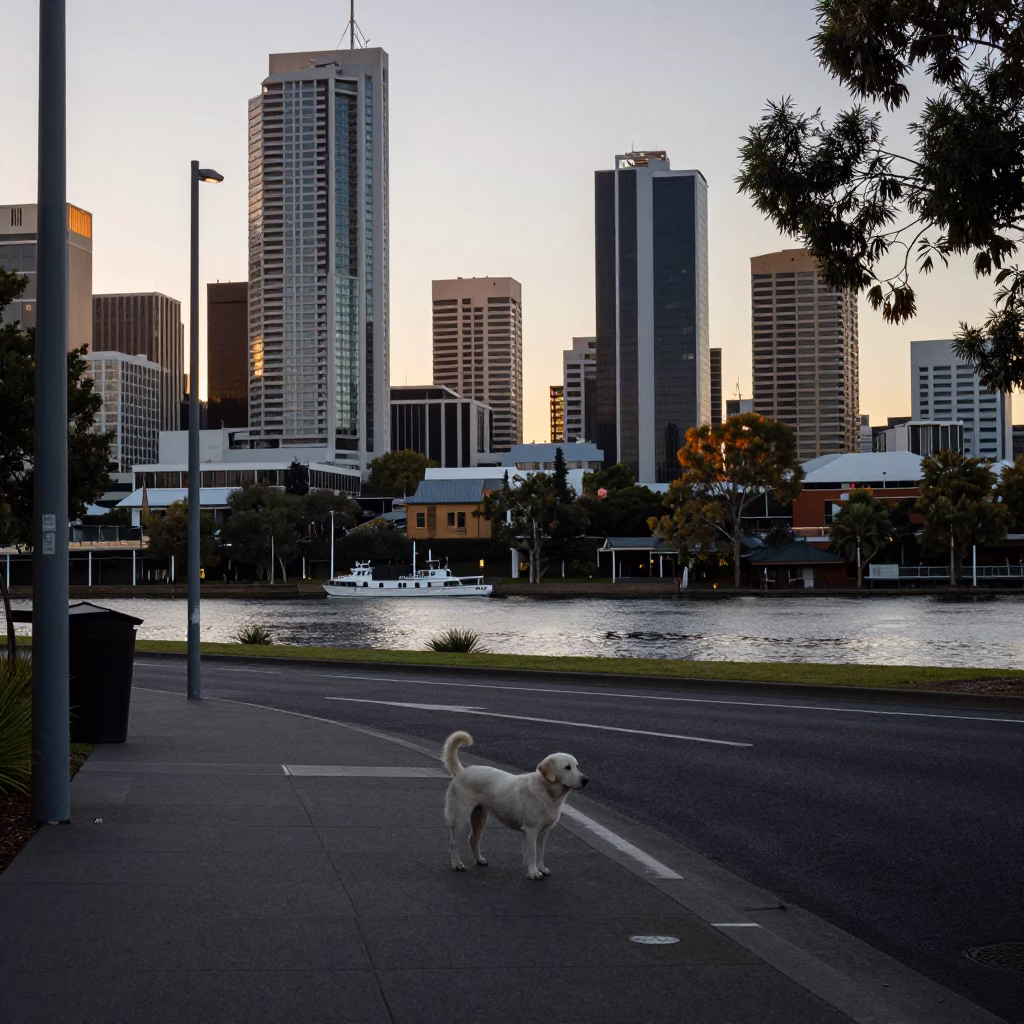 Street Scene at First Light Of Dawn in Adelaide in in Adelaide, South Australia, Australia