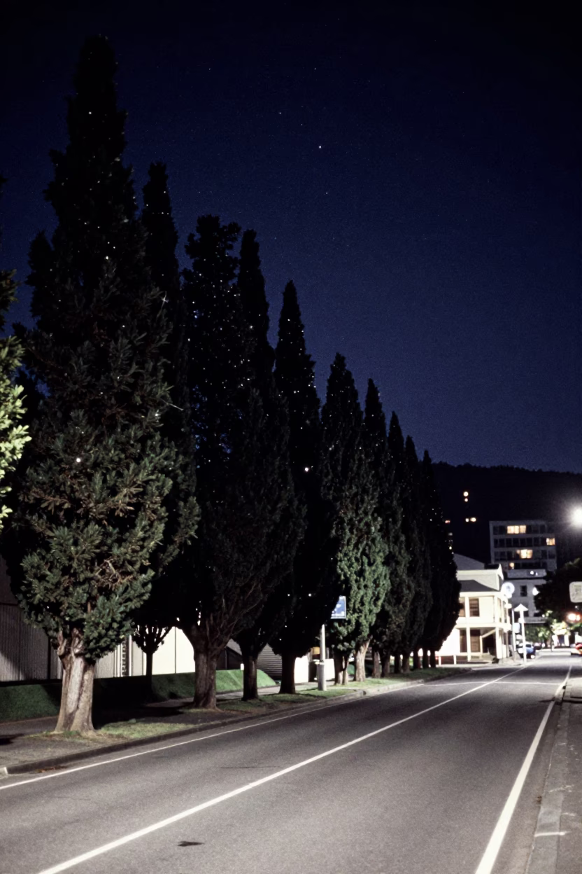Street Scene at The Deepest Night Sky Light in Wellington in in Wellington, New Zealand