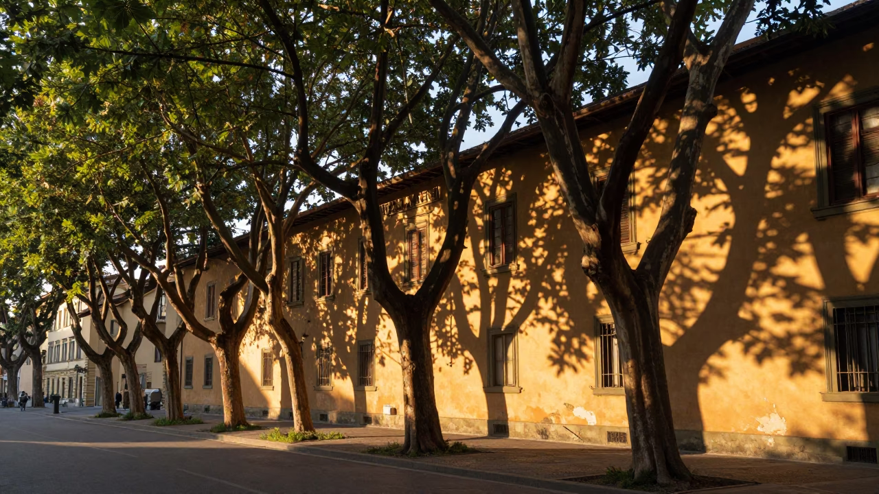 Street Scene at The Early Morning Light in Florence in in Florence, Italy