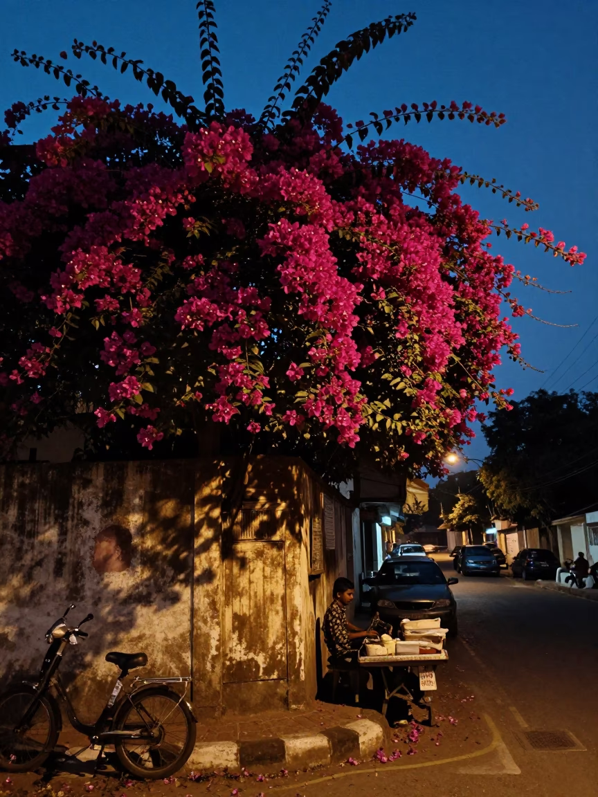 Street Scene at The Predawn Darkness Light in Chennai in in Chennai, India