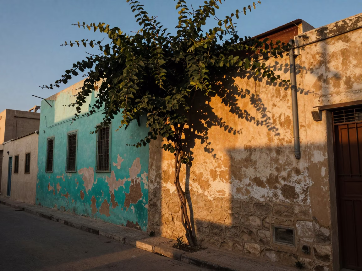 Street Scene in Alexandria at Evening Light in in Alexandria, Egypt
