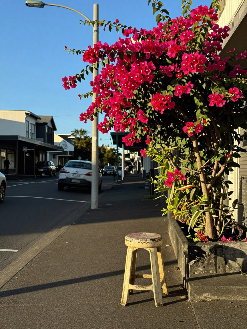 Street Scene in Auckland at Clear Late-afternoon Light in in Auckland, New Zealand