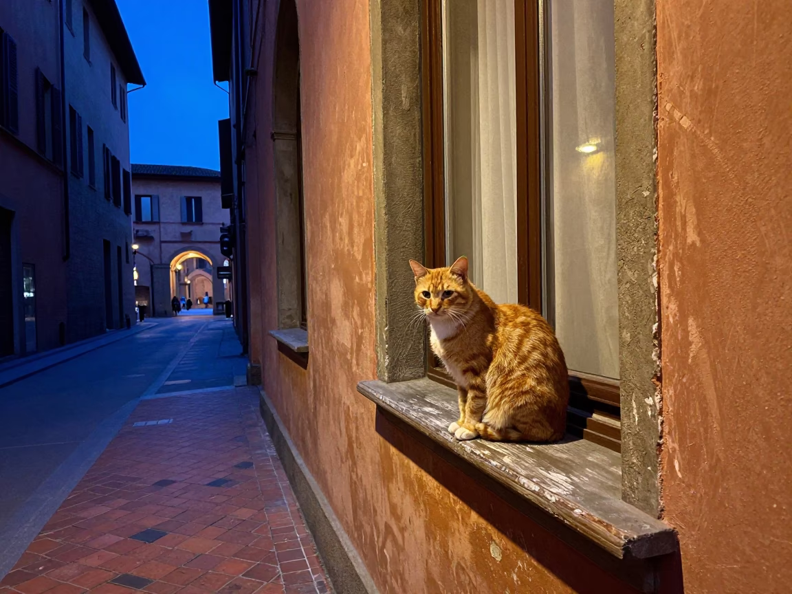 Street Scene in Bologna at Blue Hour in in Bologna, Italy