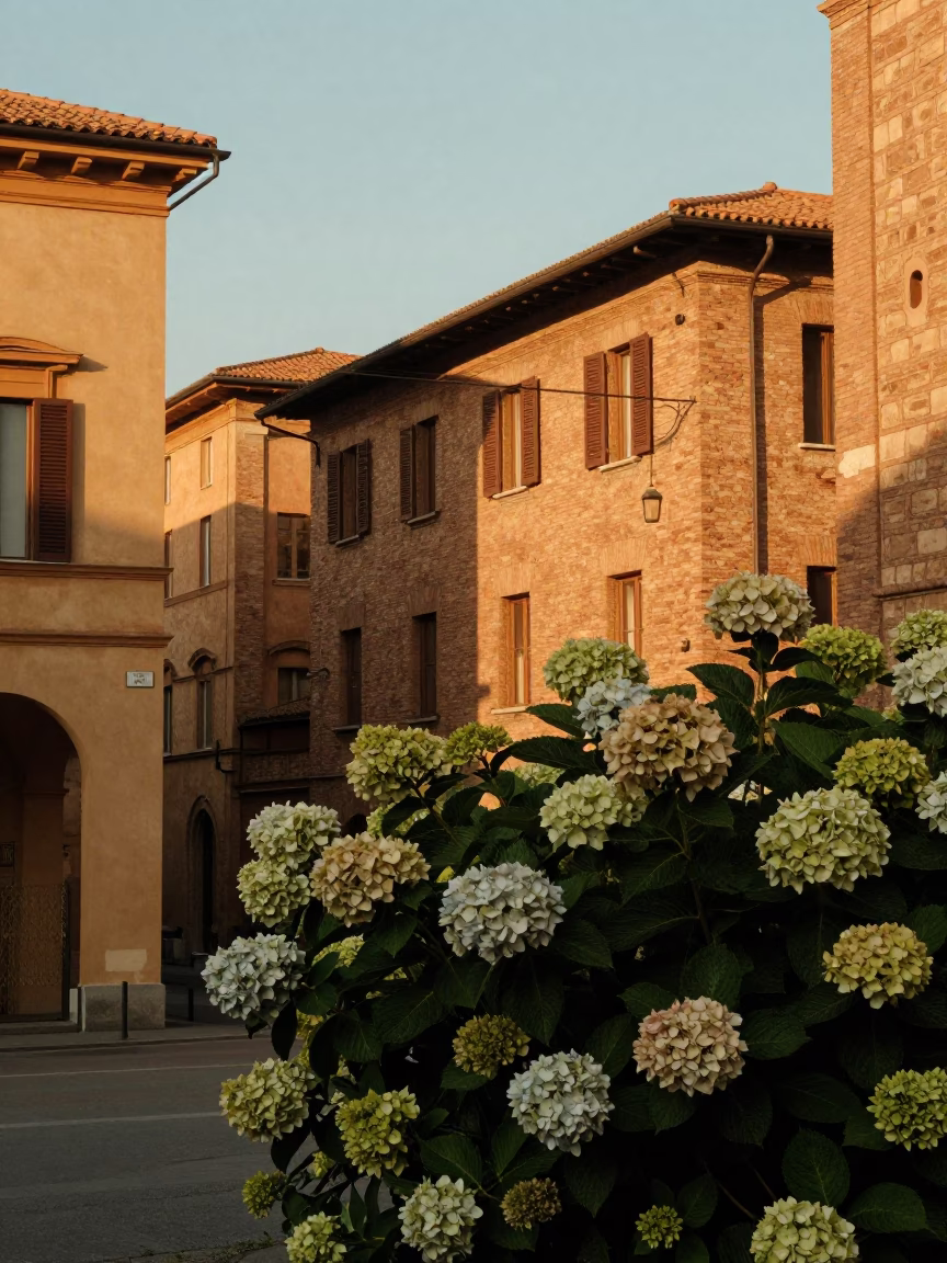 Street Scene in Bologna at Golden Hour in in Bologna, Italy