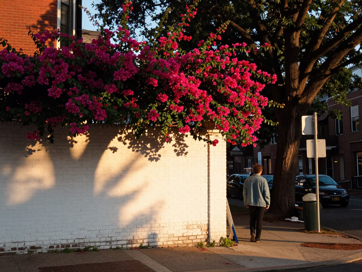 Street Scene in Boston at Honeyed Evening Light in in Boston, Massachusetts, United States