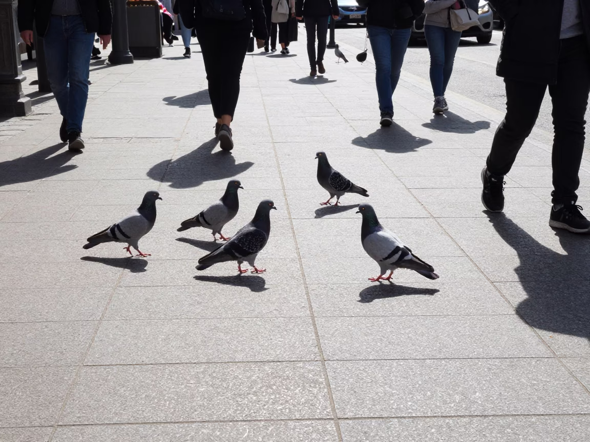 Street Scene in Brussels at Bright Midmorning Light in in Brussels, Belgium