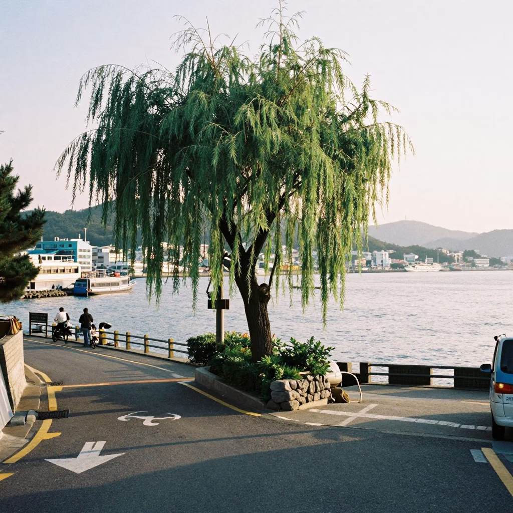 Street Scene in Busan at The Late Morning Light in in Busan, South Korea