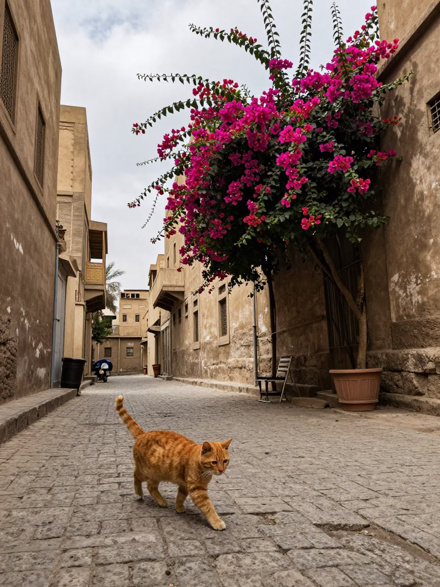 Street Scene in Cairo at Midday Light in in Cairo, Egypt