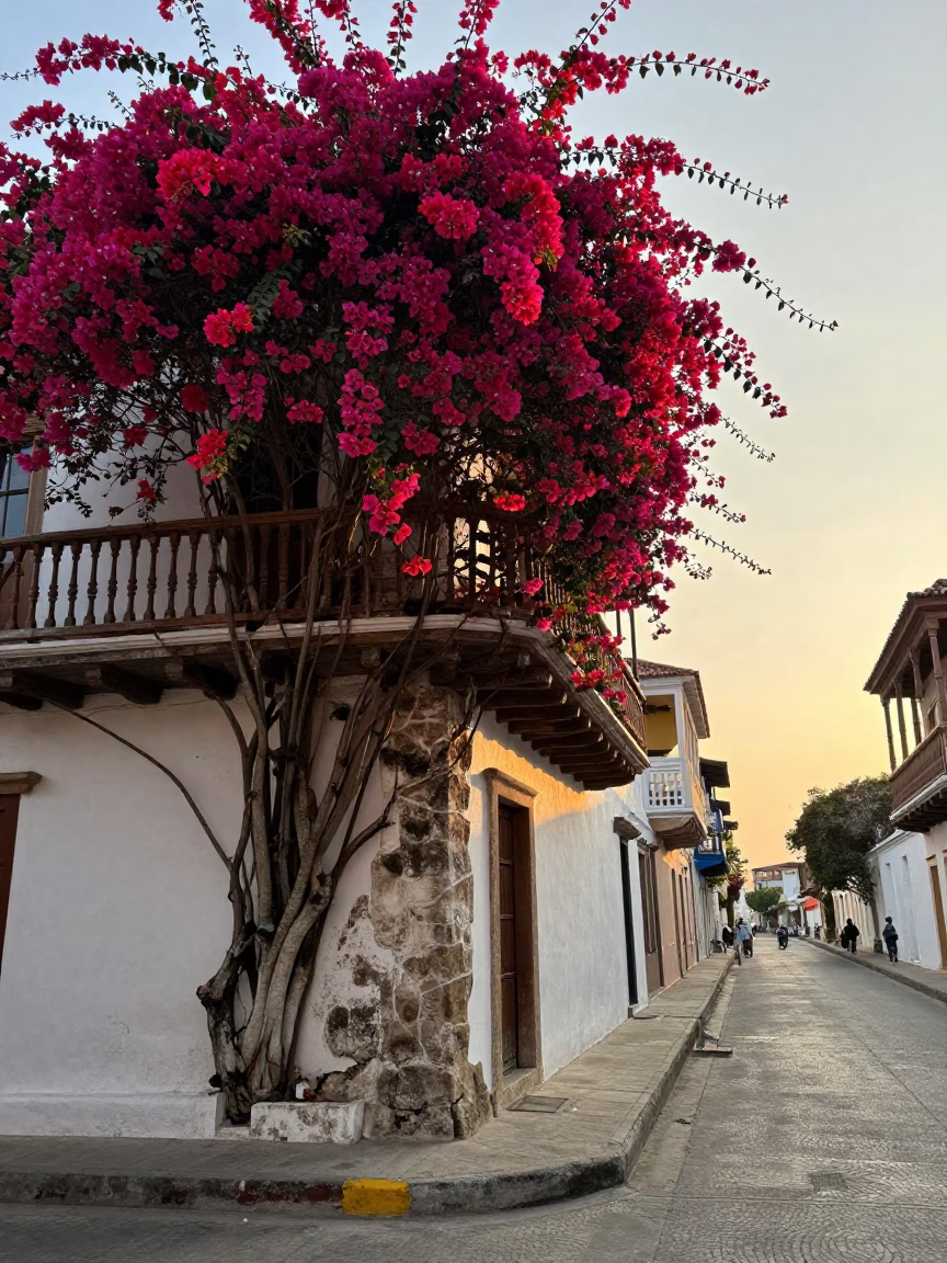Street Scene in Cartagena at The Early Morning Light in in Cartagena, Colombia