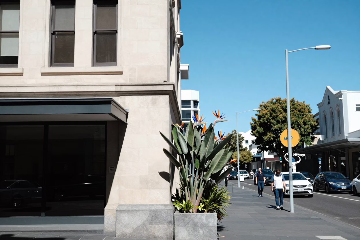 Street Scene in Christchurch at Midday Light in in Christchurch, New Zealand