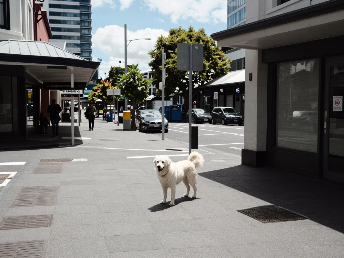 Street Scene in Christchurch at Midday Light in in Christchurch, New Zealand