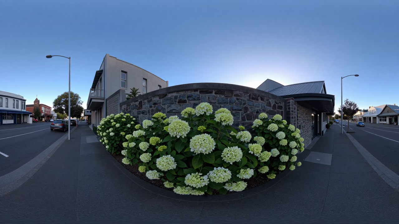 Street Scene in Christchurch at Sunrise Light in in Christchurch, New Zealand
