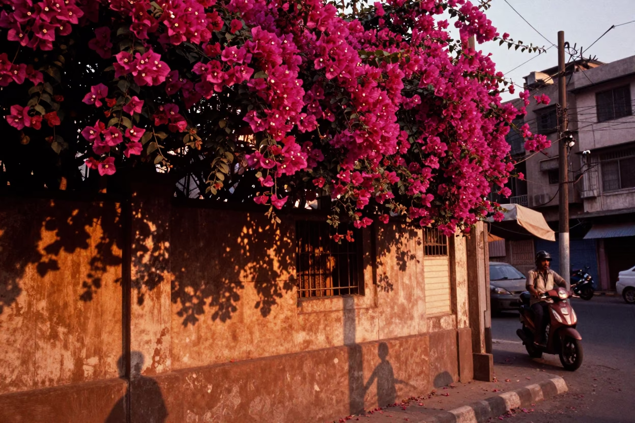 Street Scene in Delhi at Copper-toned Light Before Dusk in in Delhi, India