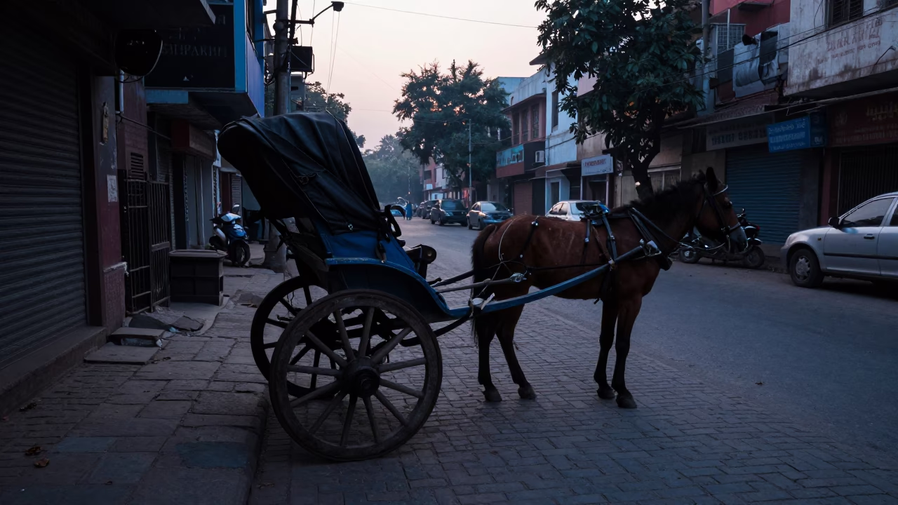 Street Scene in Delhi at Sunrise Light in in Delhi, India