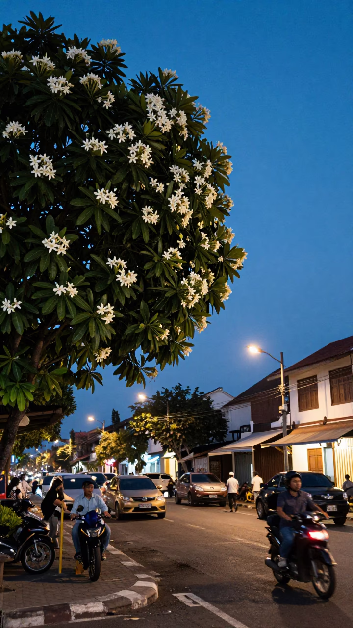Street Scene in Denpasar at Twilight in in Denpasar, Indonesia