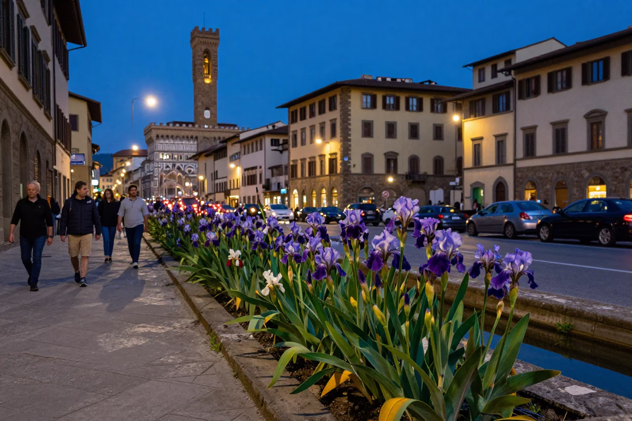 Street Scene in Florence at Twilight in in Florence, Italy