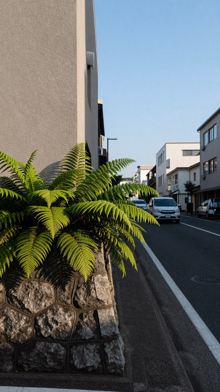 Street Scene in Fukuoka at Clear Late-afternoon Light in in Fukuoka, Japan