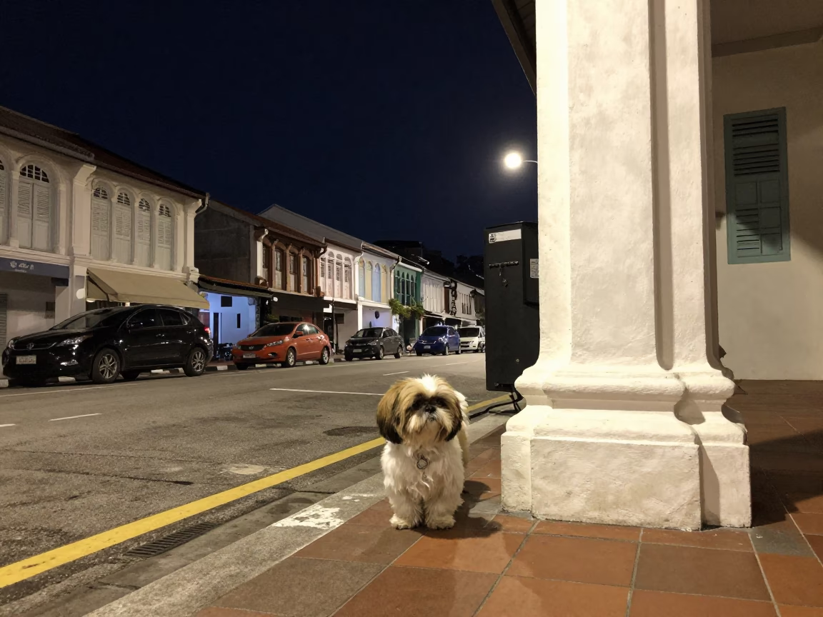 Street Scene in George Town at The Deepest Night Sky Light in in George Town, Malaysia