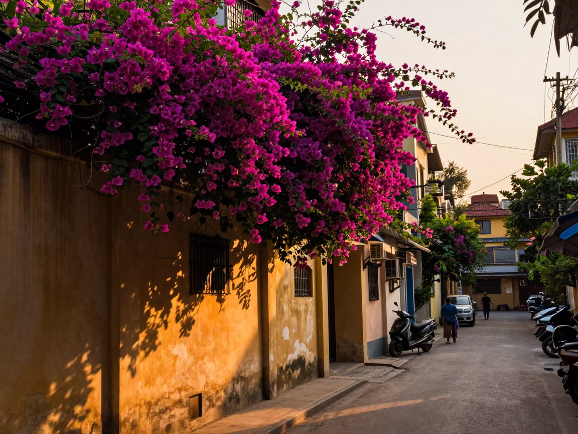 Street Scene in Hanoi at Golden Hour in in Hanoi, Vietnam