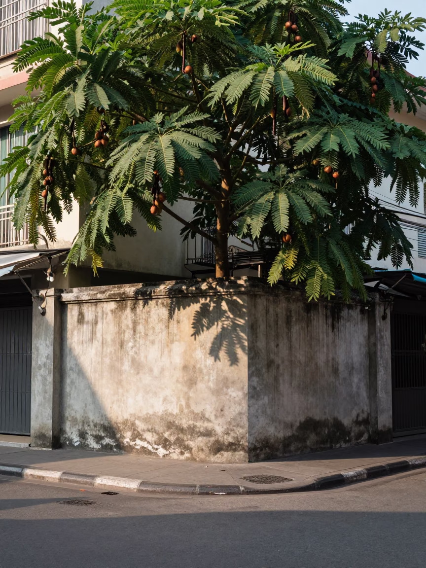 Street Scene in Ho Chi Minh City in in Ho Chi Minh City, Vietnam