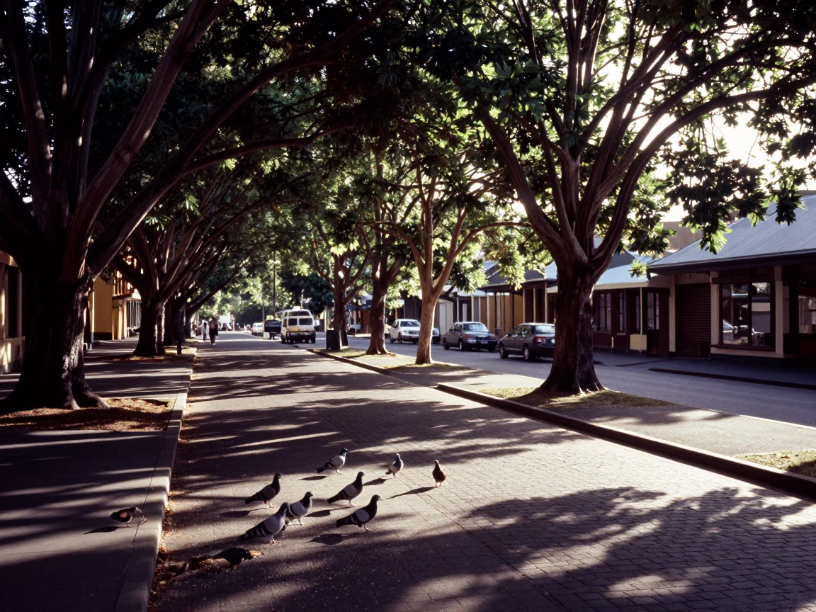 Street Scene in Hobart at The Early Afternoon Light in in Hobart, Tasmania, Australia