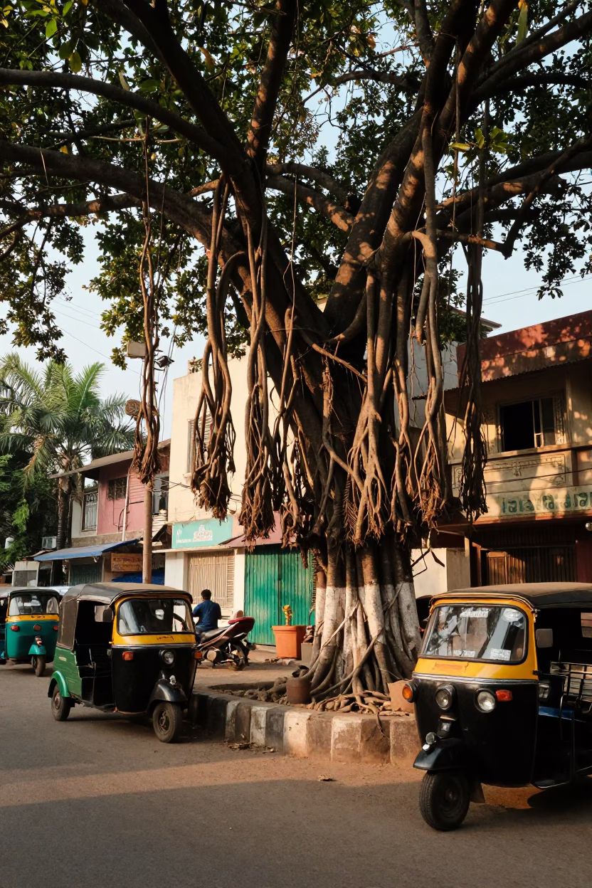 Street Scene in Hyderabad at Clear Late-afternoon Light in in Hyderabad, India