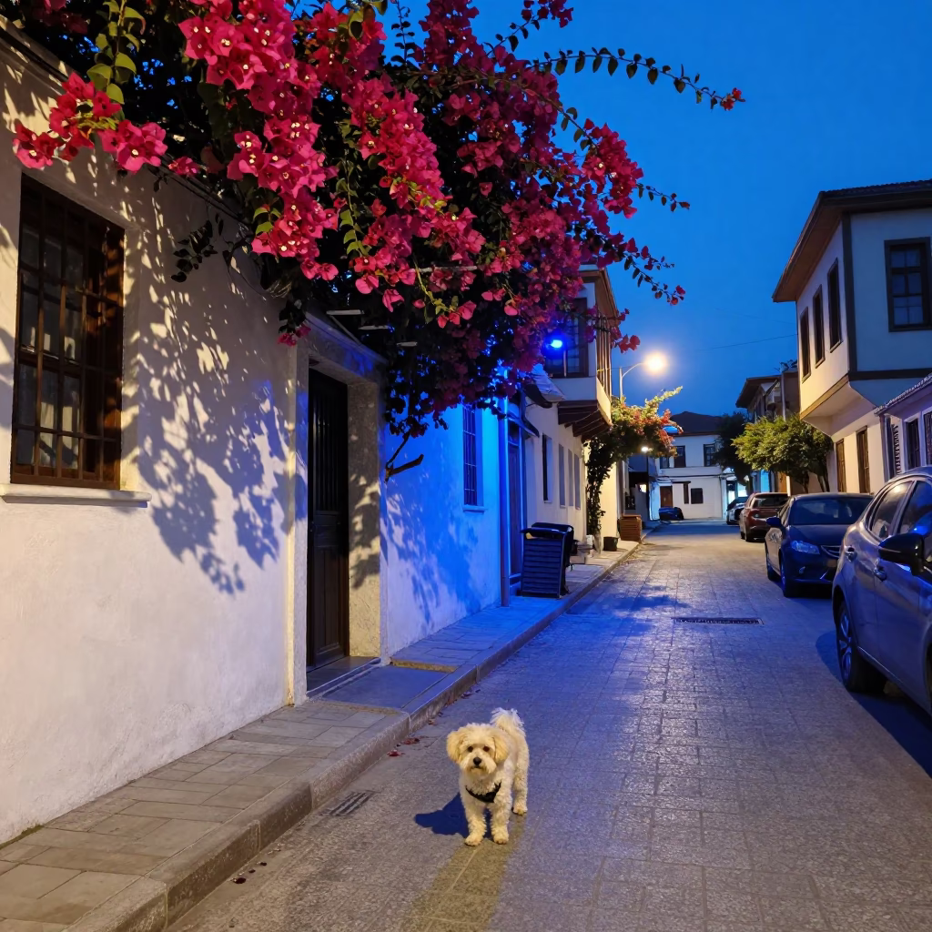 Street Scene in Izmir at The Last Blue Light Of Evening in in Izmir, Turkey
