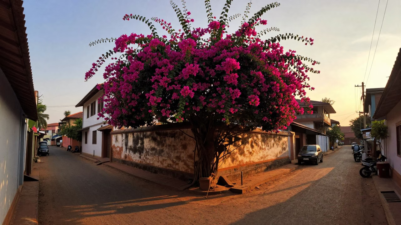 Street Scene in Kochi at Sunset Light in in Kochi, India