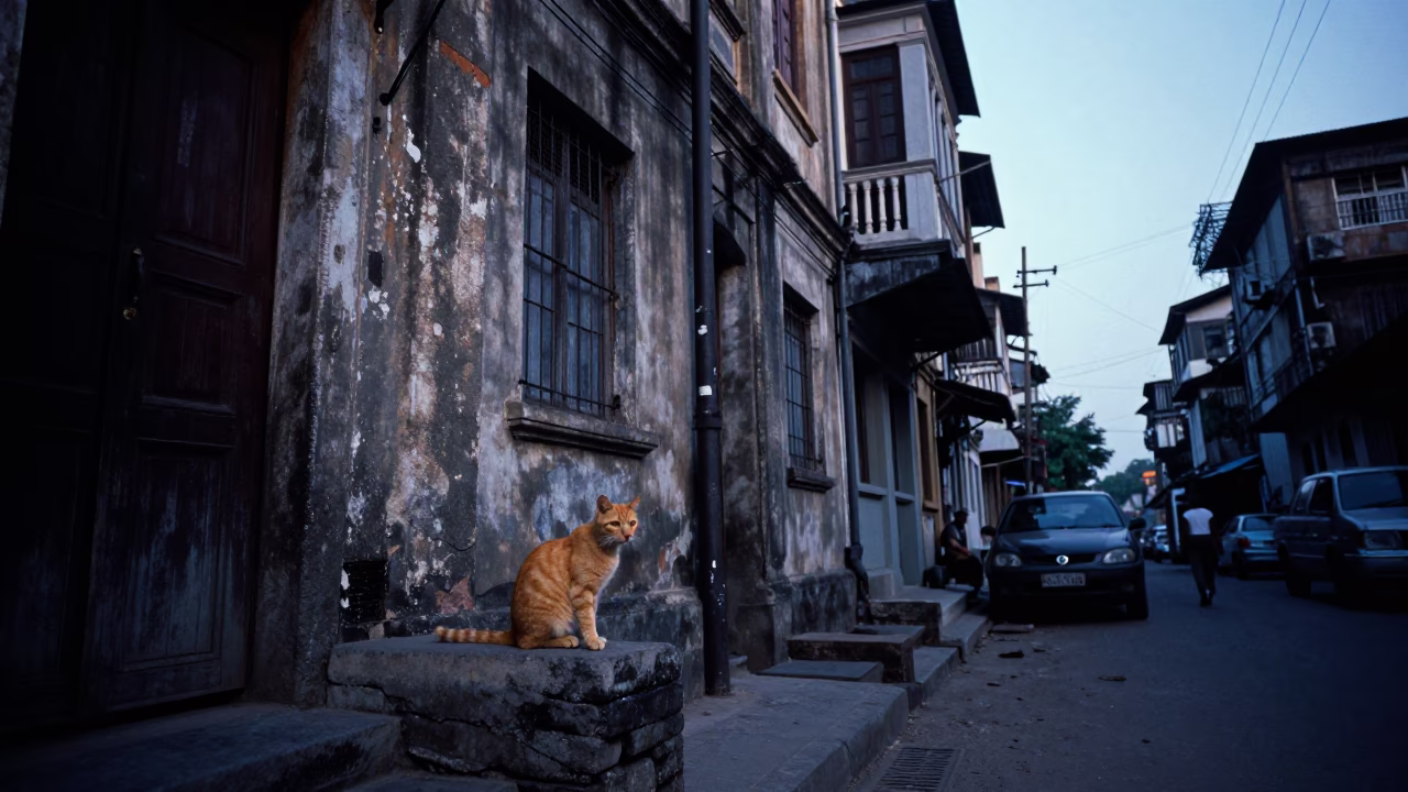 Street Scene in Kolkata at First Light Of Dawn in in Kolkata, India