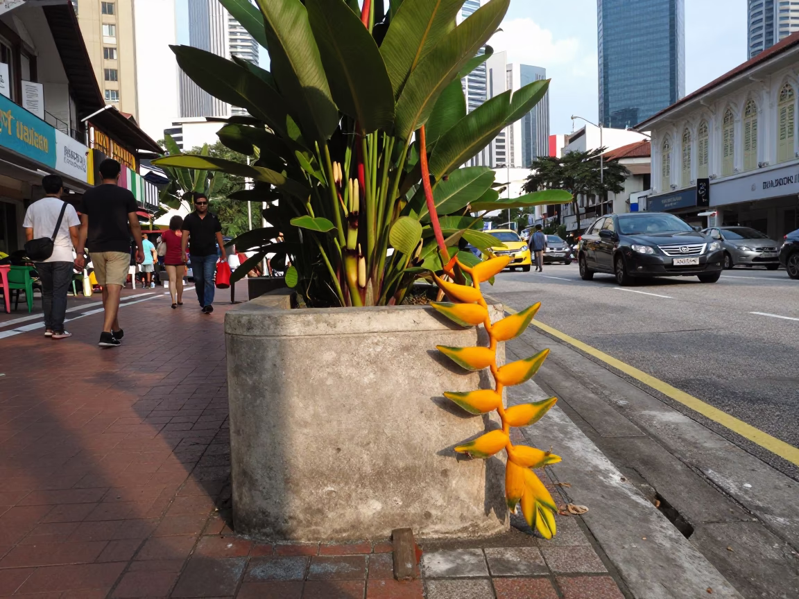 Street Scene in Kuala Lumpur at The Late Afternoon Light in in Kuala Lumpur, Malaysia