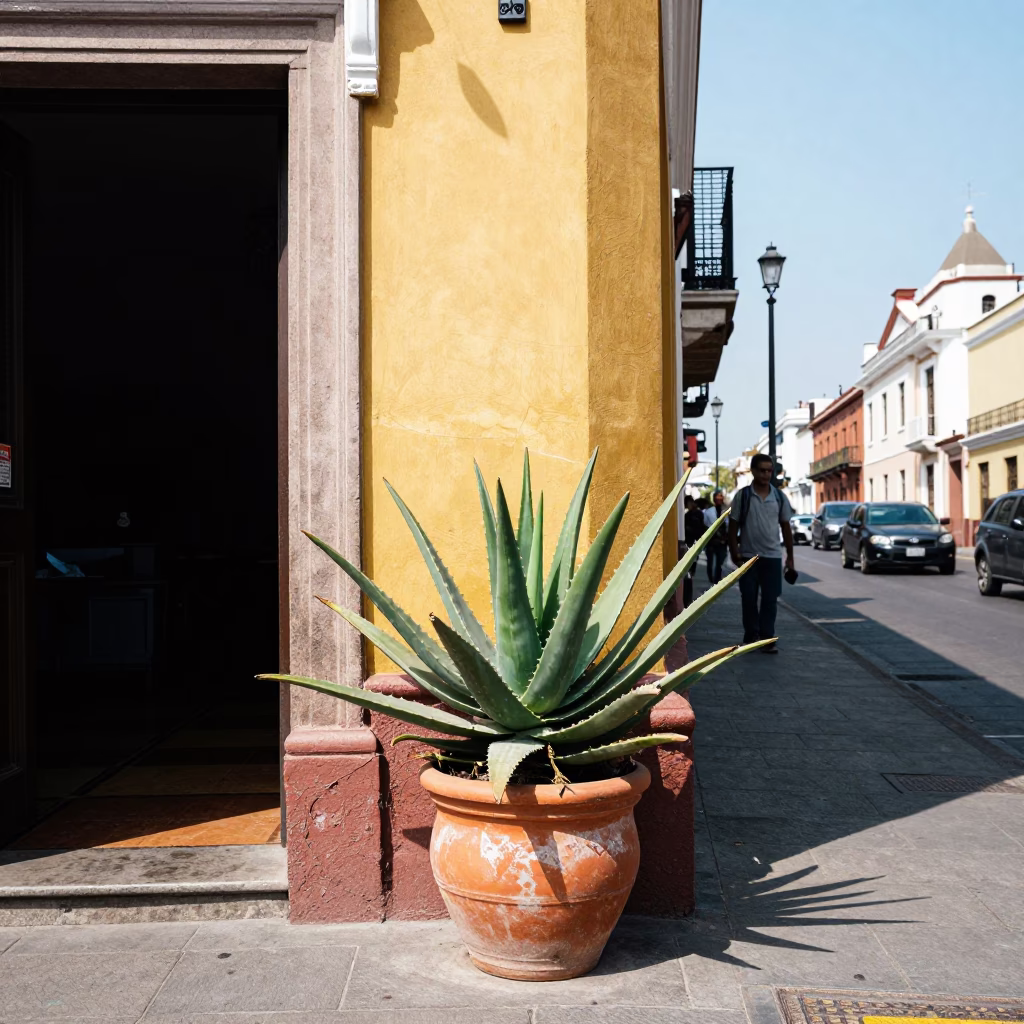 Street Scene in Lima at The Flat Glare Of Noon Light in in Lima, Peru