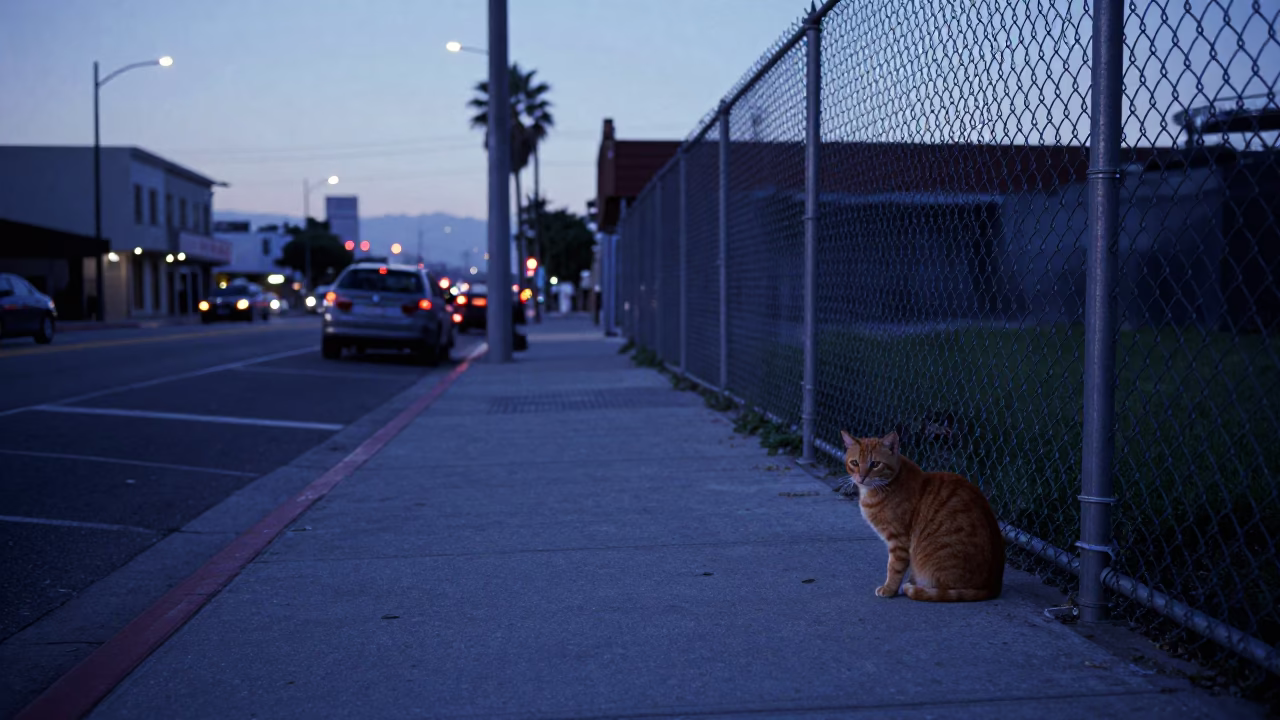 Street Scene in Los Angeles at The Still Hours Before Dawn Light in in Los Angeles, California, United States