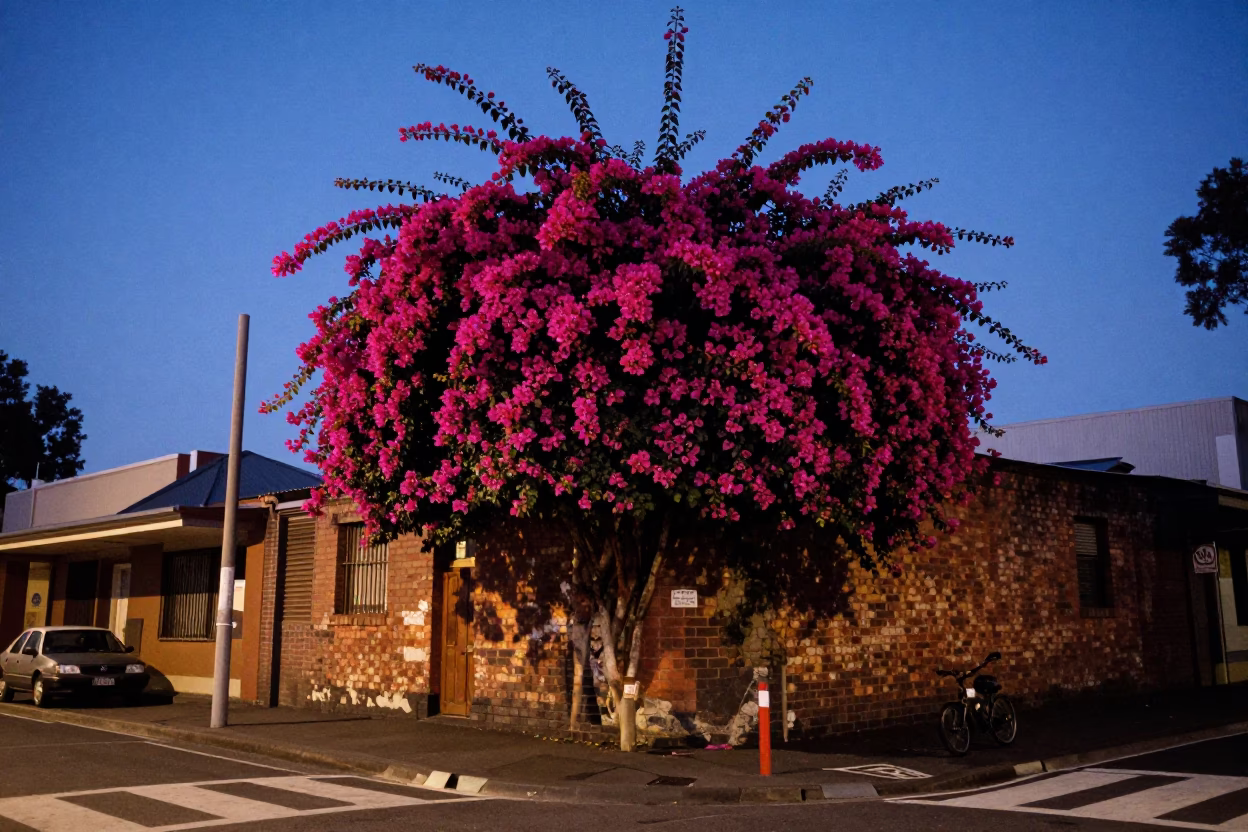 Street Scene in Melbourne at Blue Hour in in Melbourne, Victoria, Australia