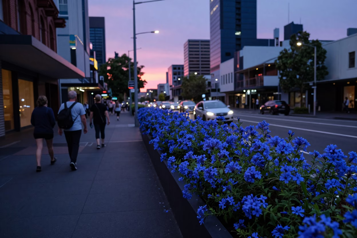 Street Scene in Melbourne at Indigo Twilight After Sunset in in Melbourne, Victoria, Australia
