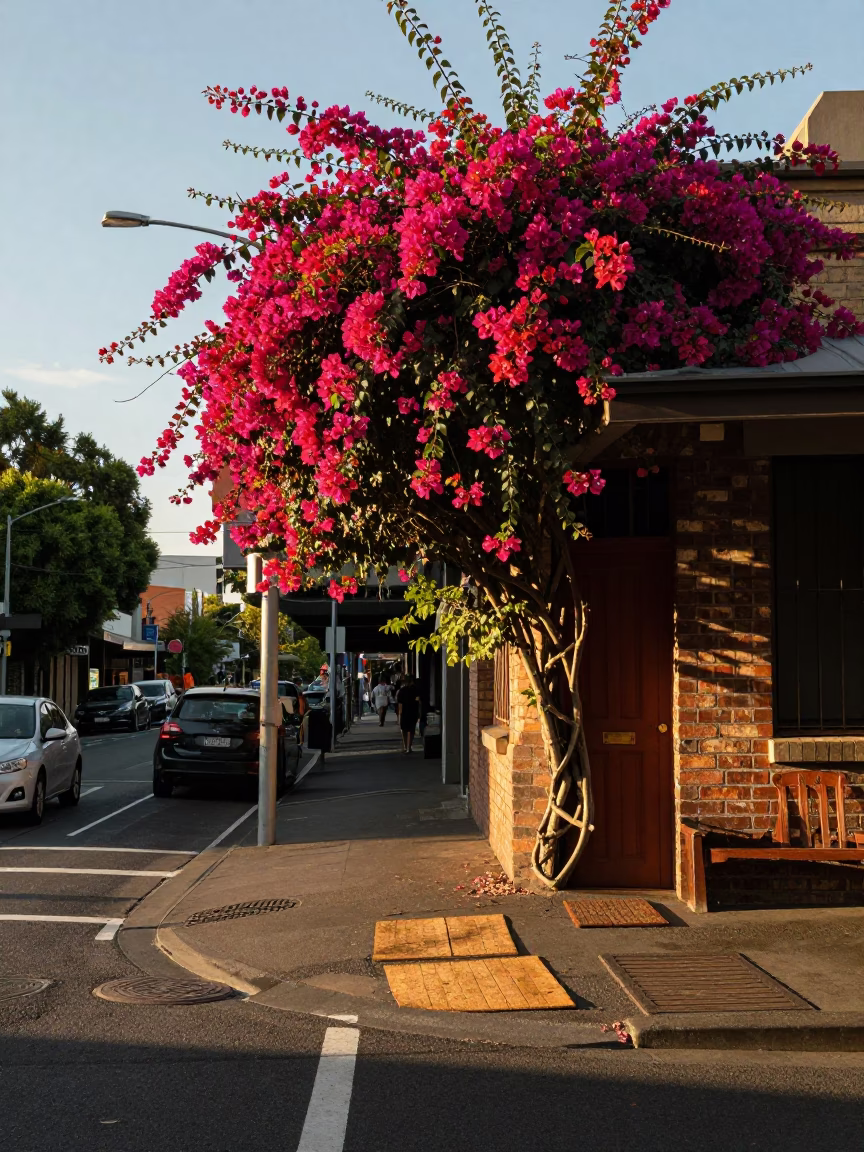 Street Scene in Melbourne at The Late Afternoon Light in in Melbourne, Victoria, Australia