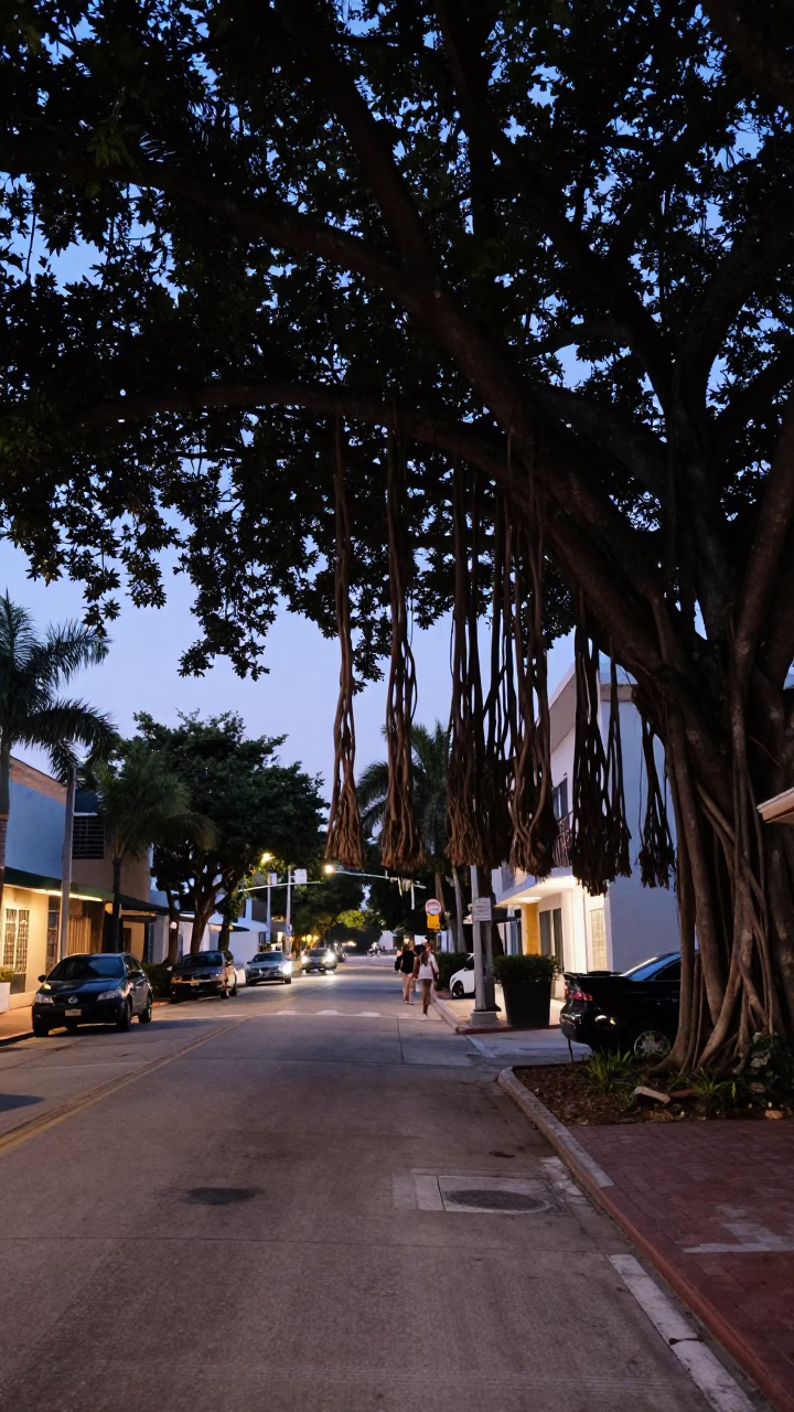 Street Scene in Miami at The Still Hours Before Dawn Light in in Miami, Florida, United States