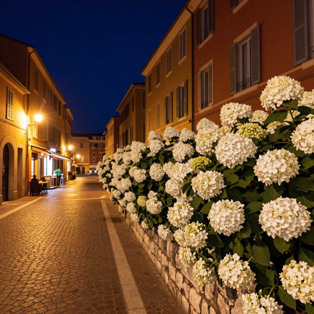 Street Scene in Nice at The Deepest Night Sky Light in in Nice, France