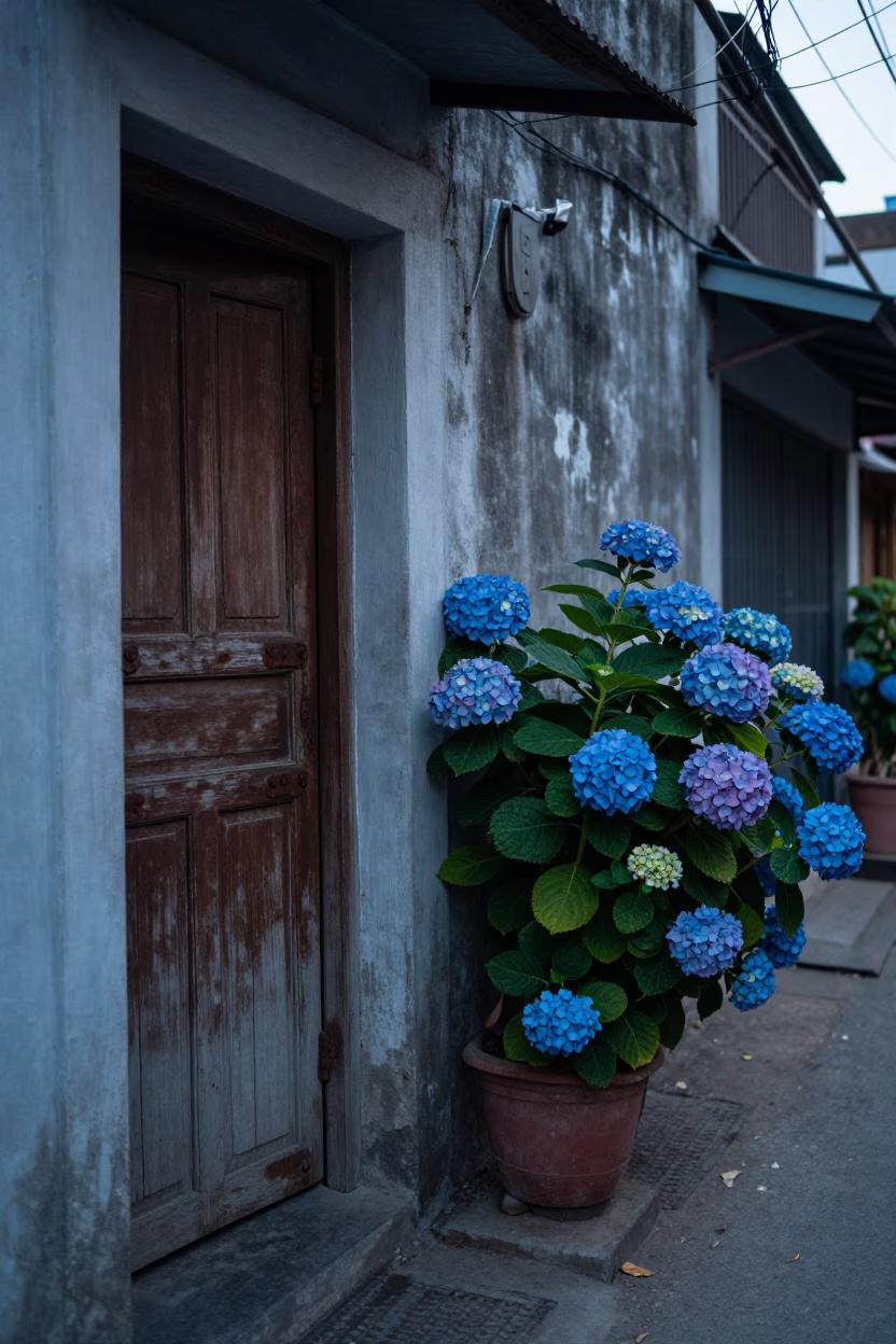 Street Scene in Phnom Penh at Sunrise Light in in Phnom Penh, Cambodia