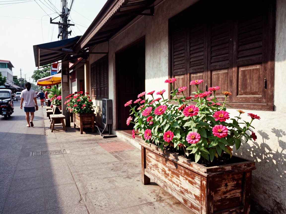 Street Scene in Phuket at Late Morning Light in in Phuket, Thailand
