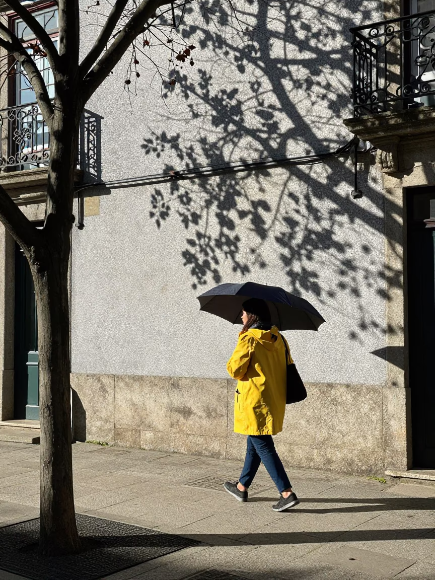Street Scene in Porto at Noon Light in in Porto, Portugal