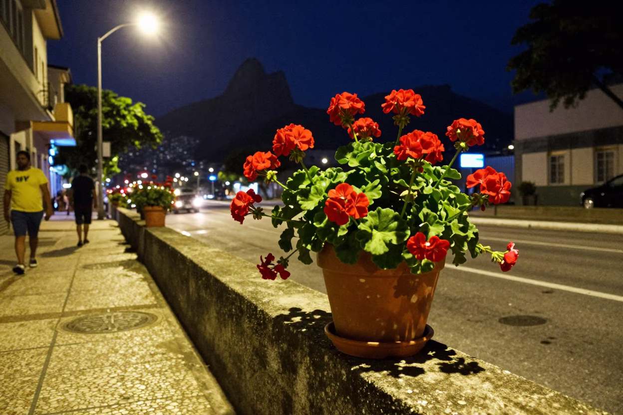 Street Scene in Rio De Janeiro in in Rio de Janeiro, Brazil